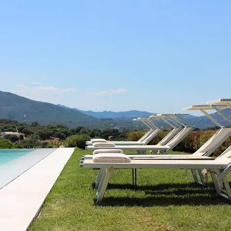 Oda ve Kahvaltı Albero Capovolto