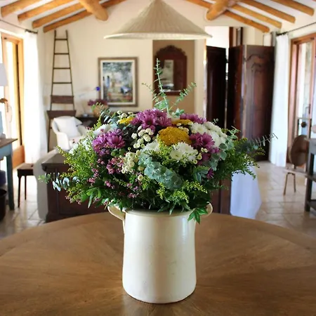 Albero Capovolto 4* Golfo Aranci