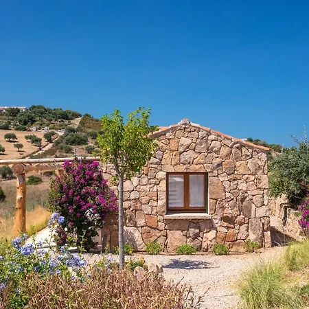 Albero Capovolto Golfo Aranci