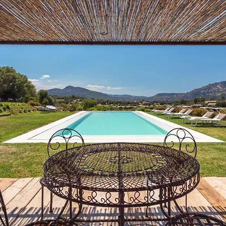 Oda ve Kahvaltı Albero Capovolto