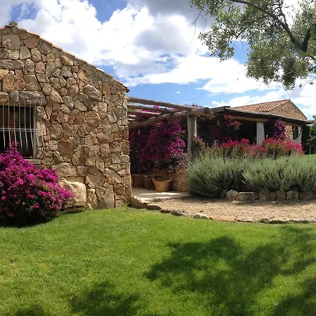 Bed & Breakfast Albero Capovolto