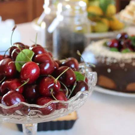 Albero Capovolto Nocleg ze śniadaniem Golfo Aranci