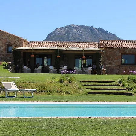 Albero Capovolto Golfo Aranci