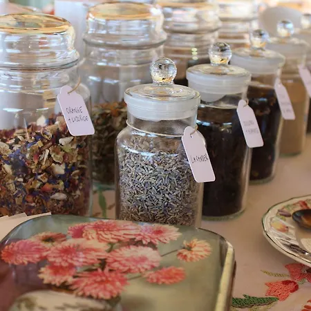 Albero Capovolto Nocleg ze śniadaniem Golfo Aranci